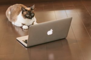 悪いクチコミが多いクリニックには就職しない方が良い!?